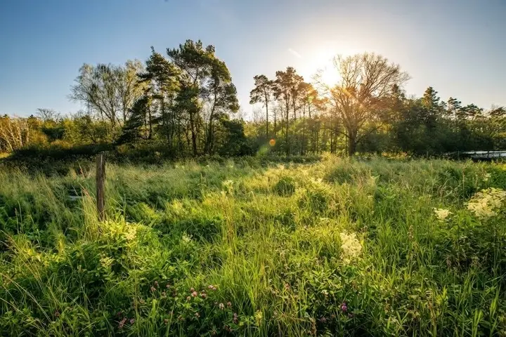 Działka, 1100 m², Wilków